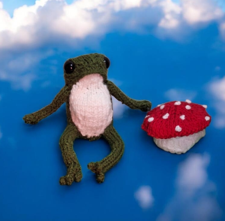 Un día llovieron ranas